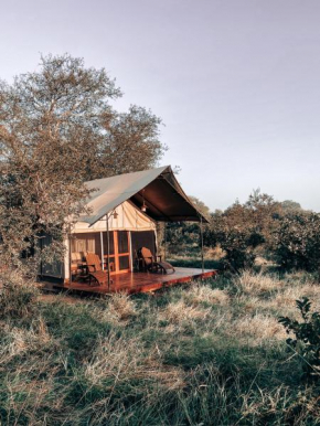 Honeyguide Tented Safari Camp - Khoka Moya